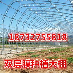【雙拱骨架雙層膜溫室大棚新春掀高潮雙拱蔬菜大棚廠家】-